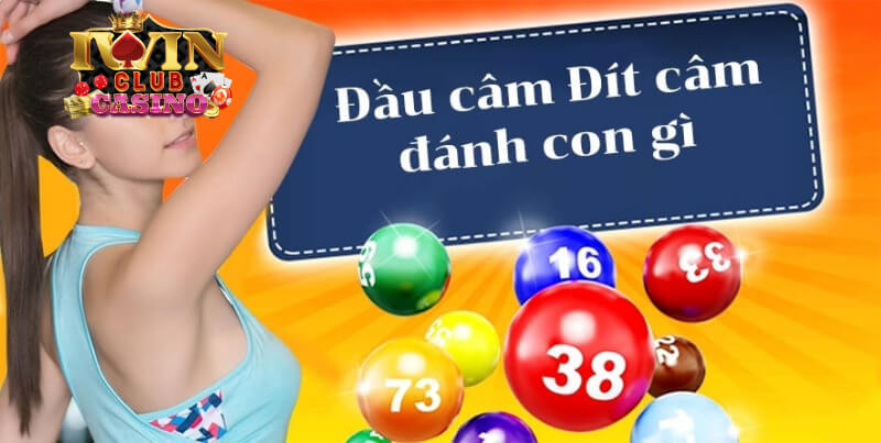 lô đầu câm đánh con gì