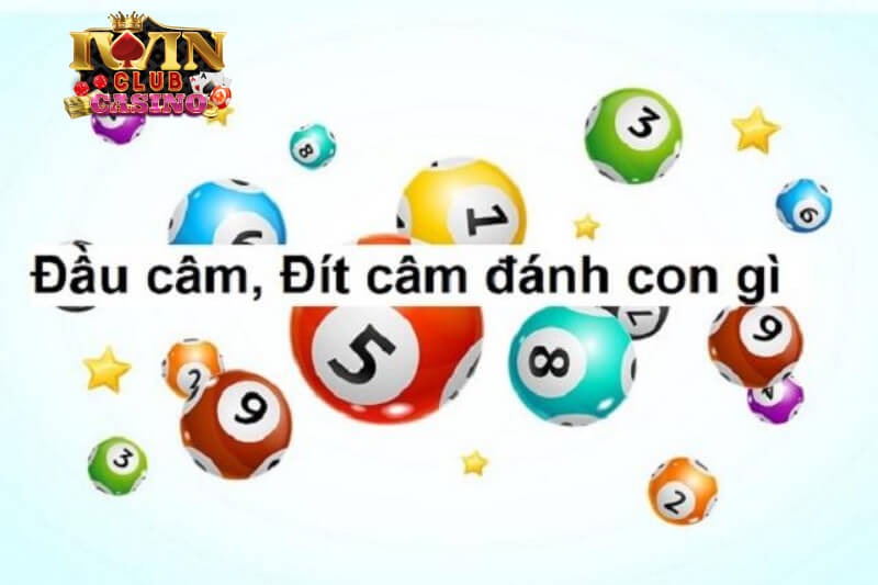 lô đầu câm đánh con gì iwin club